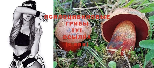 сатива Кукмор