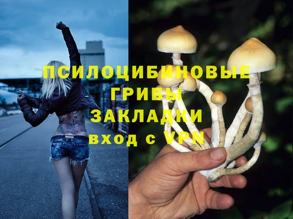 сатива Кукмор