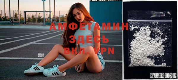 сатива Кукмор