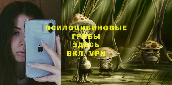 сатива Кукмор